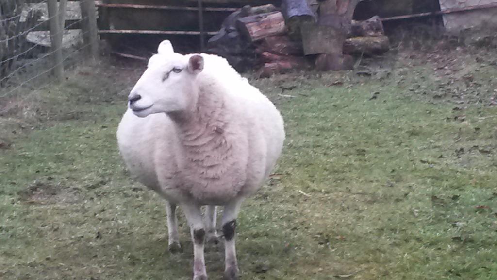 Green Bank Farmhouse Lancaster Esterno foto